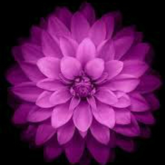 Meet your Posher, Deanna - Picture 2 of 2